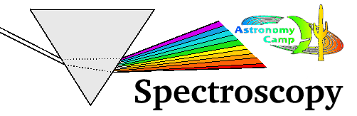 download pcr protocols