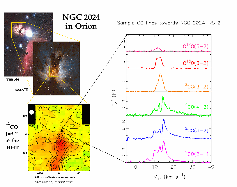 NGC 2024 in submillimeter CO
lines